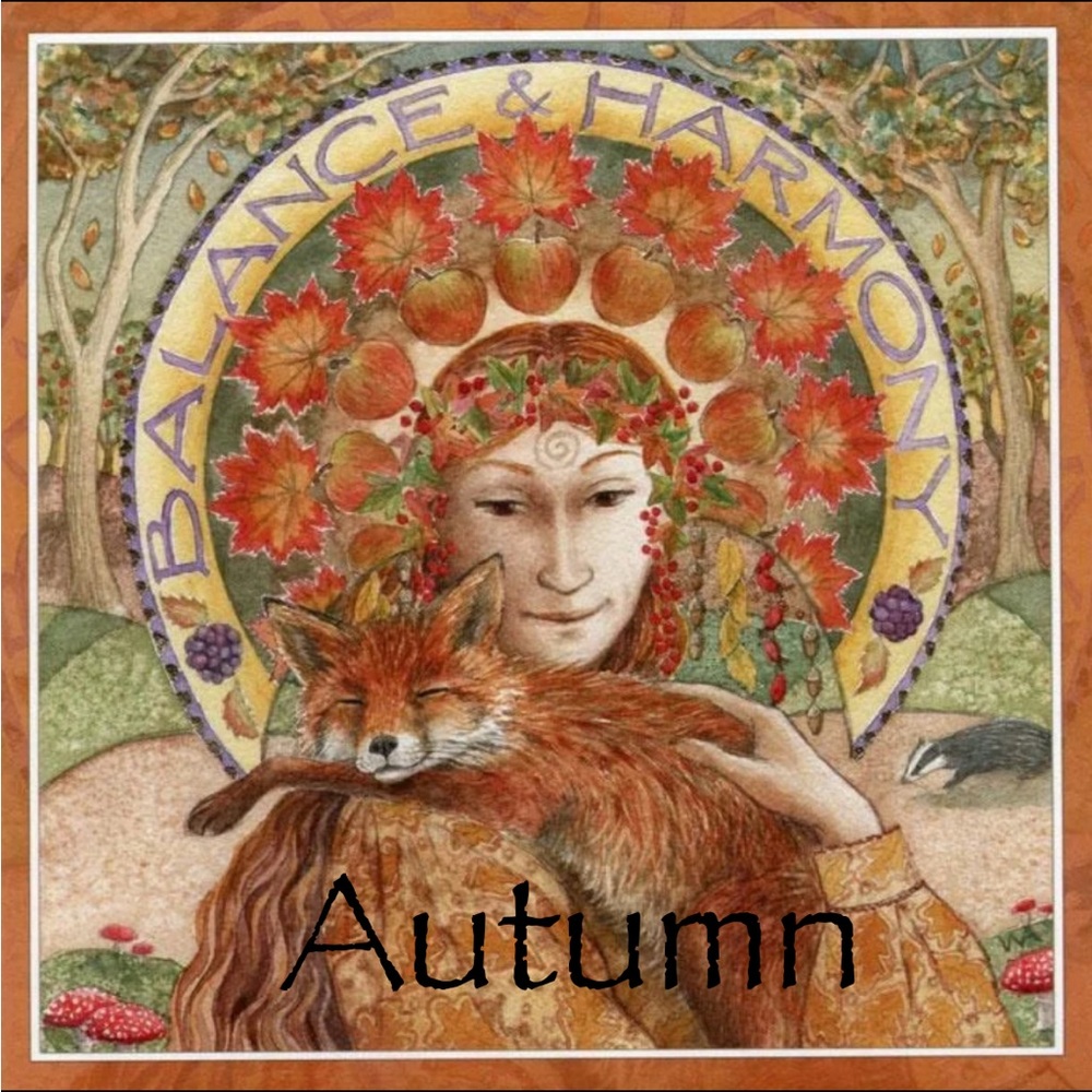 🍁🌻Autumn Selections